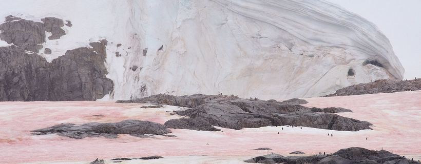 Antarctic coastal landscape with ice and open water