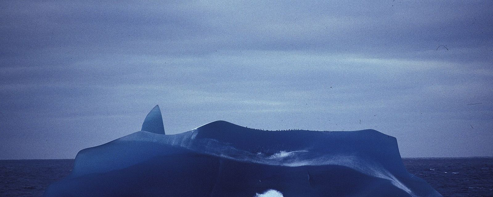 Iceberg in the Southern Ocean